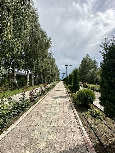 Бөлмөлөр: Просторный номер/апартамент с панорамным остеклением в малоквартирном — 10