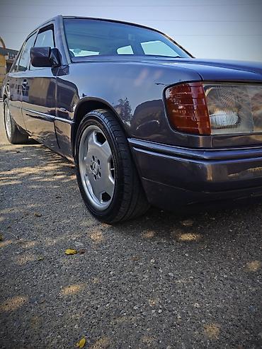 mebel sukan: Mercedes-Benz 260: 2.6 l | Sedan — 5