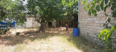 Bağ evlərinin satışı: Bakı, Saray, 100 kv. m, 3 otaqlı, Hovuzlu, İnternet, Qaz, İşıq — 10