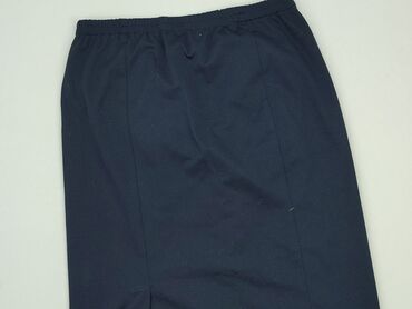 Skirts: Skirt, XL (EU 42), condition - Good