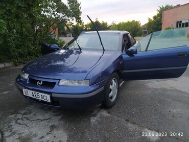 купить канарского дога: Opel Calibra: 1997 г., 2 л, Автомат, Бензин, Купе