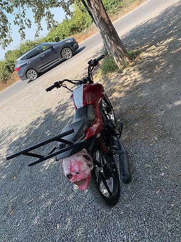 cin avto ehtiyat hisseleri: Salam aleykum problemsiz motodu qiymet de endirim edecem 80 kubdu 90 — 8