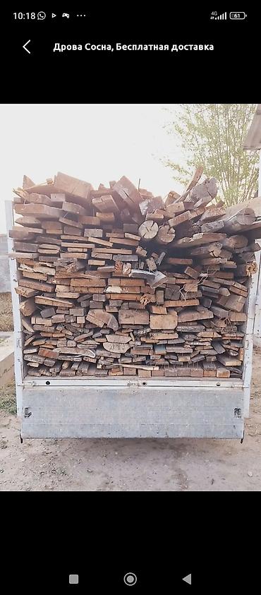 продаю фермы: Дрова Сосна — 3
