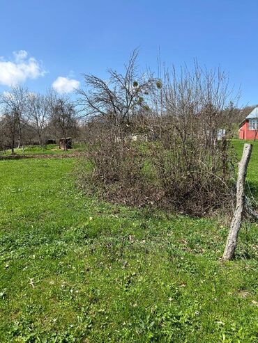 Torpaq sahələrinin satışı: 20 sot, Kənd təsərrüfatı, Mülkiyyətçi, Kupça (Çıxarış) — 7