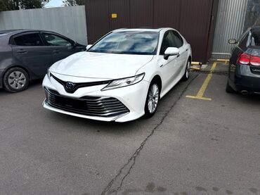 где купить машину дешевле: Toyota Camry: 2019 г., 2.5 л, Вариатор, Гибрид, Седан