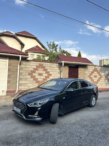 Hyundai: Hyundai Sonata: 2020 г., 2 л, Автомат, Газ, Седан — 4