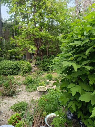 Продажа квартир: 2 комнаты, 45 м², Хрущевка, 1 этаж, Косметический ремонт — 14