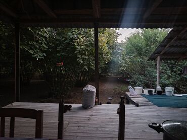 Ağaclar: Salam bağ Qəbələ rayon Nic qəsəbəsində dir bağ 67 sotdan ibarətdir 170 — 3