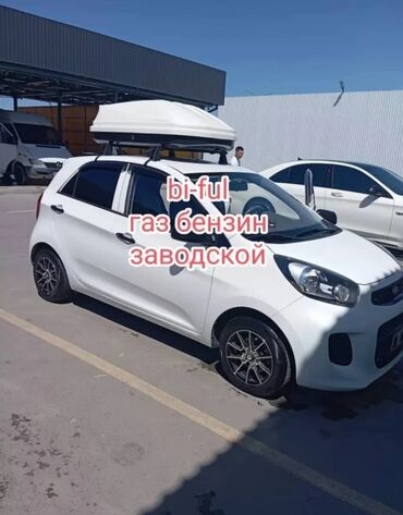 авто из кореи в наличии в бишкеке: Kia Morning: 2016 г., 1 л, Автомат, Газ, Хэтчбэк