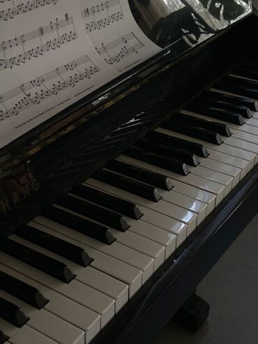 lenkeran iş elanları 2024: Fortepiano dərsləri.Ali və magistratura təhsilli müəllimə