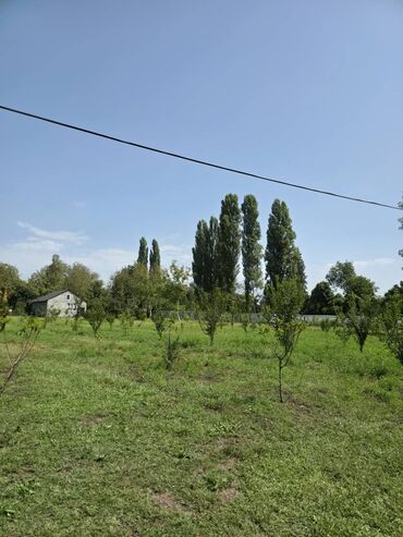 Torpaq sahələrinin satışı: 185 sot, Mülkiyyətçi, Kupça (Çıxarış) — 13