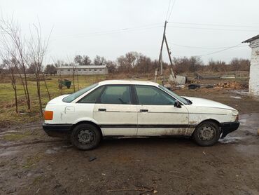 ауди 90 кватро: Audi 80: 1987 г., 1.8 л, Механика, Бензин, Седан