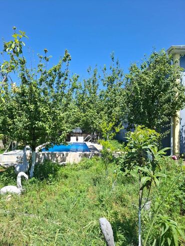 Günlük kirayə evlər: 100 kv. m, 4 otaqlı — 2