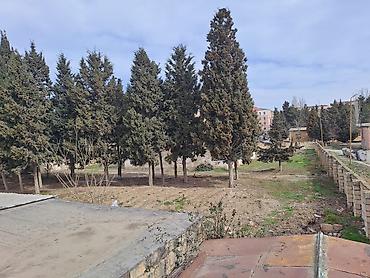 Torpaq sahələrinin satışı: 25 sot, Kupça (Çıxarış) — 13