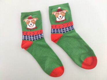 crazy socks skarpety: Socks, condition - Perfect
