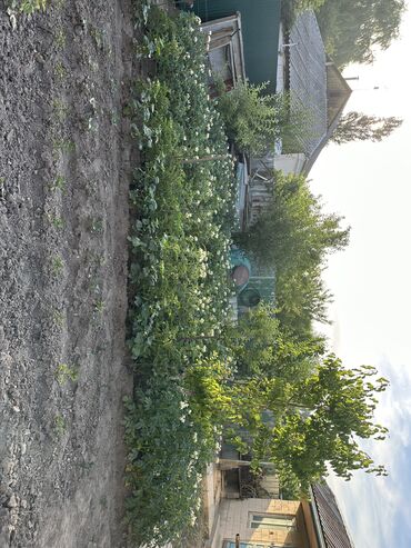 Продажа домов: Дом, 216 м², 10 комнат, Собственник, Дизайнерский ремонт — 9