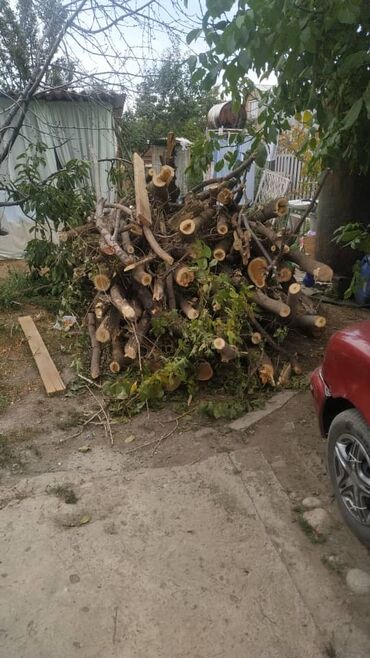 Спил деревьев, заготовка дров: Пилю деревья цена индивидуально! Пилю дровабревна 1500 - с/куб — 6