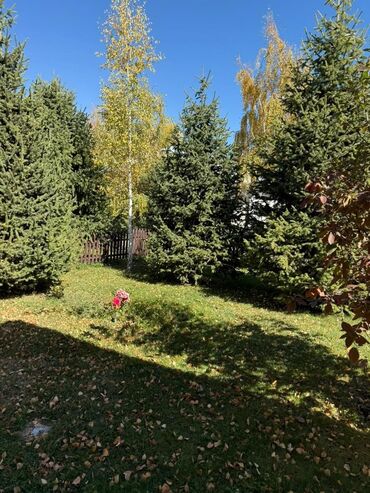 Продажа домов: Коттедж, 188 м², 6 комнат, Собственник, Евроремонт — 12