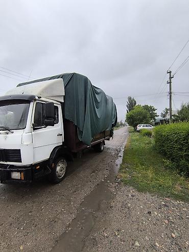 205 65 15р: Mercedes-Benz : 1985 г., 6 л, Механика, Дизель, Бус — 2