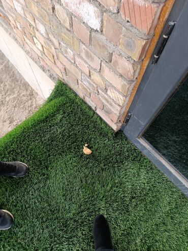 Продажа домов: Дом, 115 м², 5 комнат, Собственник, Евроремонт at lalafo.kg — 2 Продажа домов: Дом, 115 м², 5 комнат, Собственник, Евроремонт — 2