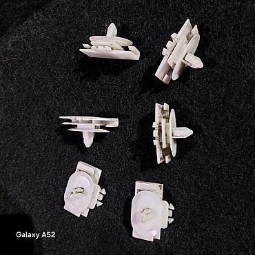 disk tekerler type 0: Şevralit Equniks üçün Padnoşqa pnobkası Sporler pnobkasıda deyilir 1 — 2