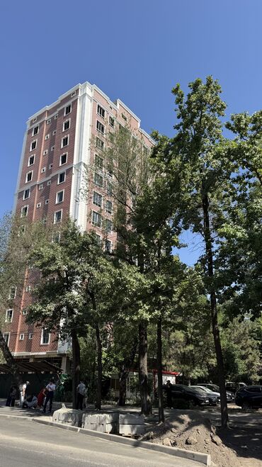 кто ищет комнату на подселение: 2 бөлмө, 67 кв. м, Элитка, 4 кабат, ПСО (өзү оңдоп түзөтүп бүтүү үчүн)