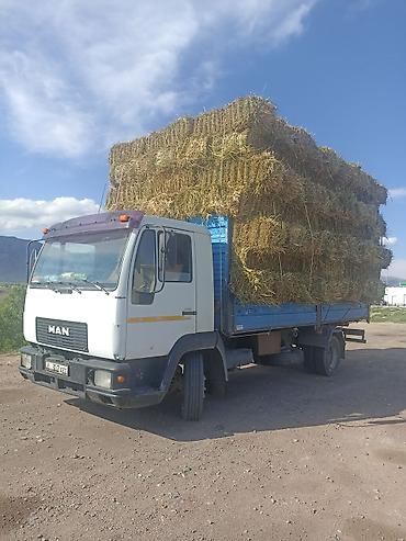 ман 8 180: Грузовой бортовой MAN - Марка/модель: MAN, бортовой грузовик. - — 9