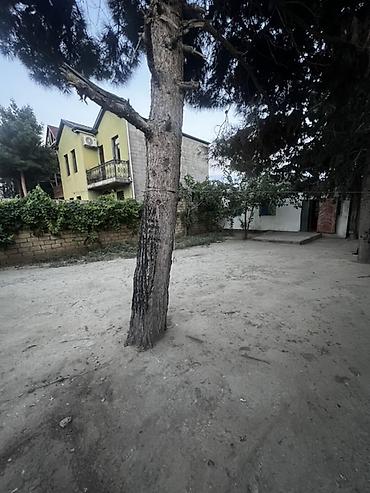 gence tap az: 3 otaqlı, 80 kv. m, Kredit yoxdur, Təmirsiz — 2