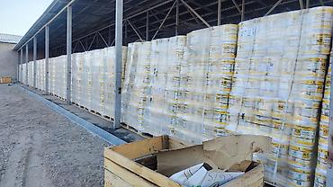 Пленка и бумага: Тип пленки — 12