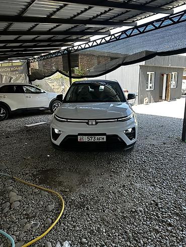 5 160: JMEV : 2022 г., Электромобиль, Кроссовер — 1