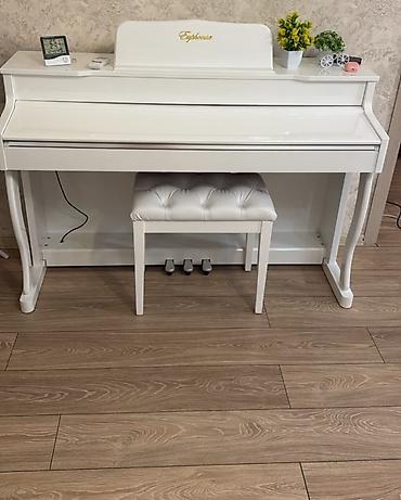 ✅Elektron pianino satılır oturacag daxil ✅ 1000 AZN. Tekçe piano 1900 — 1