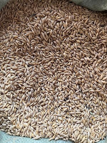 Крупы, мука, сахар: Кукурузная мука Жугору ун - Натуральная кукурузная мука Отправим — 4