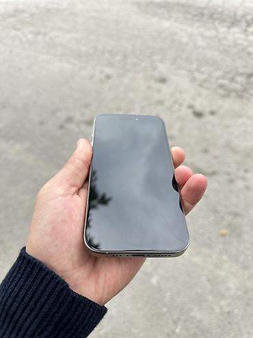 ikinci el ipad pro: IPhone 15 Pro, 256 GB, Gümüşü, Face ID — 5