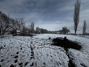 Продажа сельхоз предприятий: Конюшня/стабиль с утеплением и вспомогательными помещениями Описание — 7