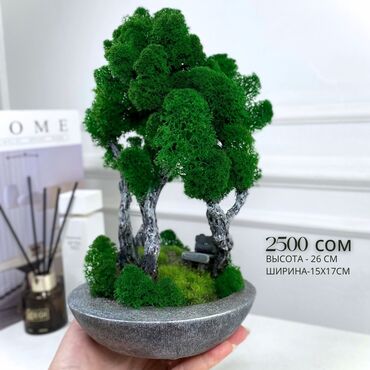 Декоративные цветы: Деревья-бонсай из натурального стабилизированного мха🌳 -это — 21