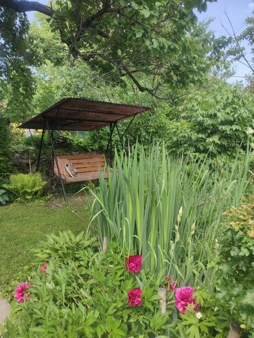 Продажа домов: Дача, 65 м², 4 комнаты, Собственник, Евроремонт — 4