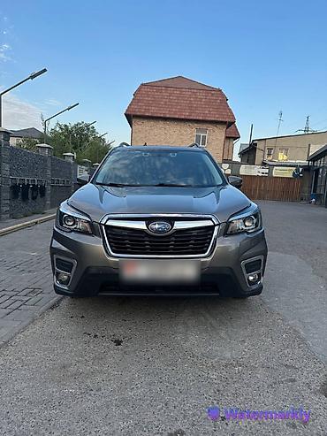 forest: Subaru Forester: 2020 г., 2.5 л, Вариатор, Бензин, Кроссовер — 4