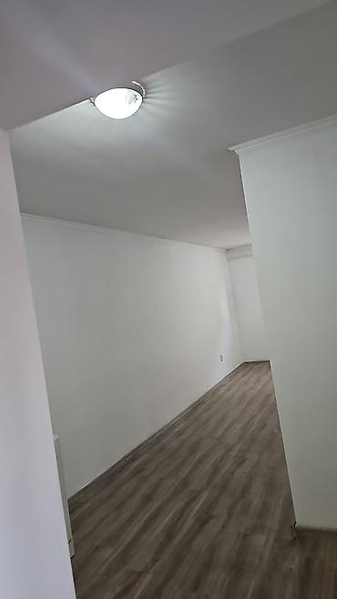 discovery studio: Арча бешик,он арча 95к — 8