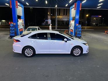 leopard 3: Toyota Corolla: 2019 г., Гибрид, Седан — 2
