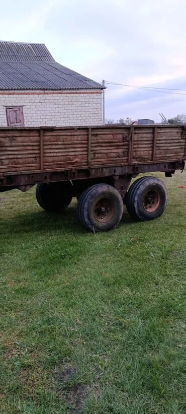 qoşqu mala: Lapetlər