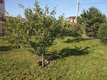 сниму дом в токмаке: 260 м², 6 комнат, Ынтымак ж/м, Без животных — 4
