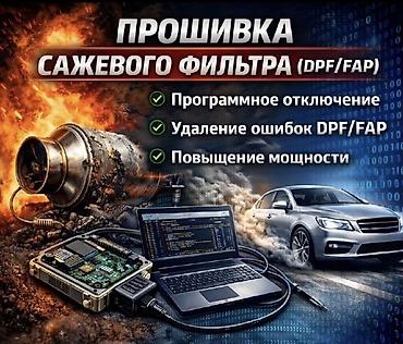 Удаление сажевого фильтра и мочевины прошивка диагностика любой
