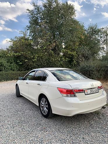 Продажа авто: Honda Accord: 2011 г., 2.4 л, Автомат, Бензин, Седан — 4