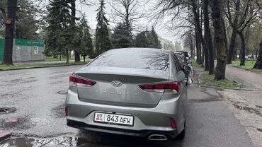 нундай соната: Hyundai Sonata: 2017 г., 2 л, Автомат, Бензин, Седан