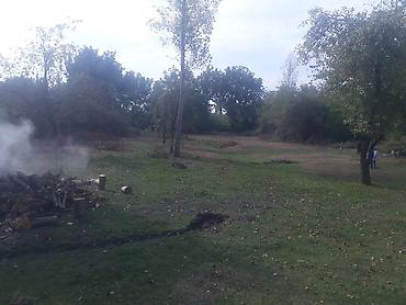 Torpaq sahələrinin satışı: 40 sot, Tikinti, Mülkiyyətçi, Kupça (Çıxarış) — 16