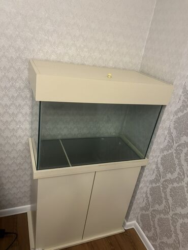 Akvariumlar: Dördbucaq akvarium, Boş, 140 l — 8