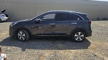 corolla 2016: Kia Niro: 2020 г., 1.6 л, Автомат, Гибрид, Кроссовер — 10