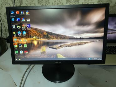 компьютерный: Монитор, Asus, LCD