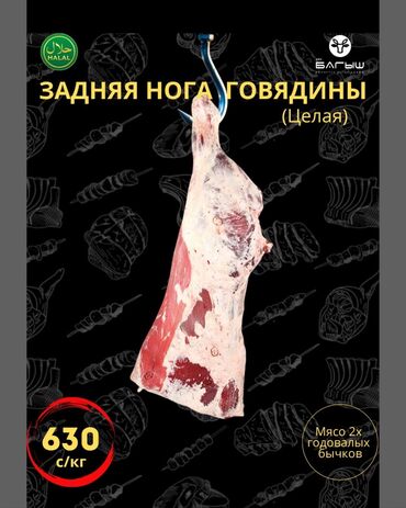 мясо конина цена бишкек: Говядина : До 1 кг, 1 кг, 2 кг, Самовывоз, Бесплатная доставка, Платная доставка