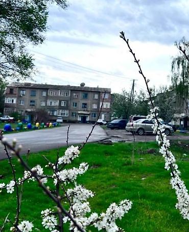 Батирлер: 3 бөлмө, 60 м², 105-серия, 1 кабат, Евро оңдоо — 2
